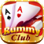 rummy flare logo