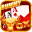 rummy wealth list icon