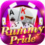 rummy master 51 icon